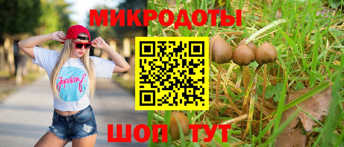 Псилоцибиновые грибы GOLDEN TEACHER Чернушка